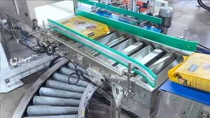 Robotic Case Packer
