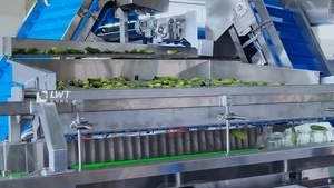 Linear Vibratory Filler