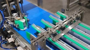 Servo Case Packer