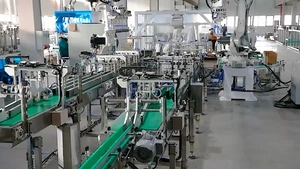 Robotic Case Packer
