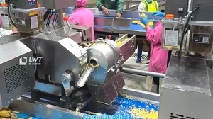 Canned Corn Production Line