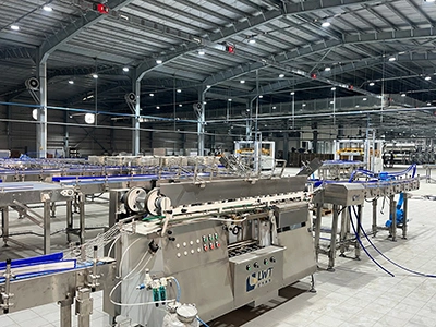 Case Packing and Palletizing System