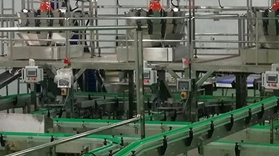 Canned Yellow Peach Production Line