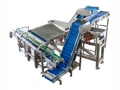 Linear Vibratory Filler