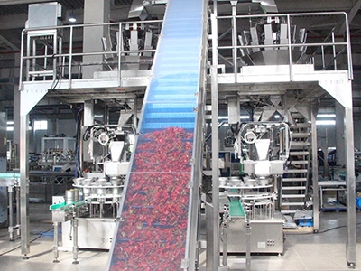 Lifting Conveyor