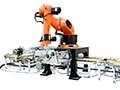 Robotic Palletizer & Depalletizer