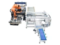 Robotic Palletizer & Depalletizer