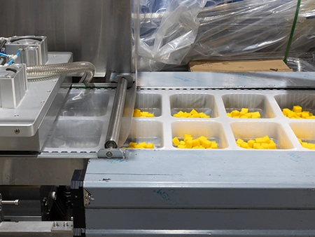 Thermoforming Packaging Machine